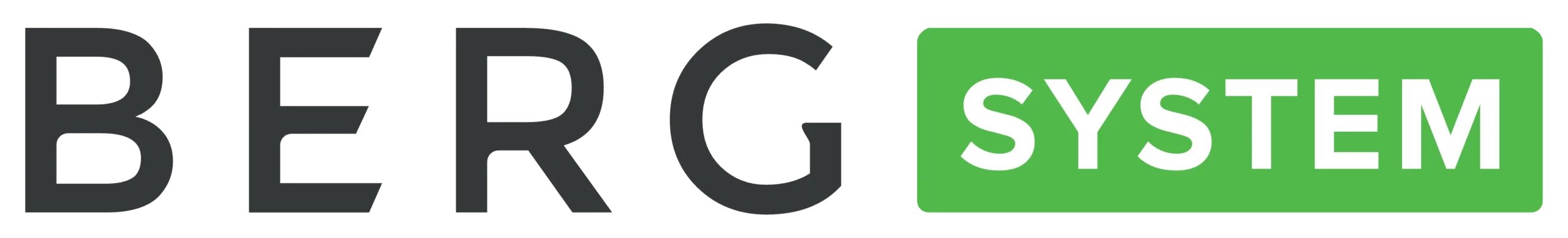 berg-system-crm-logo